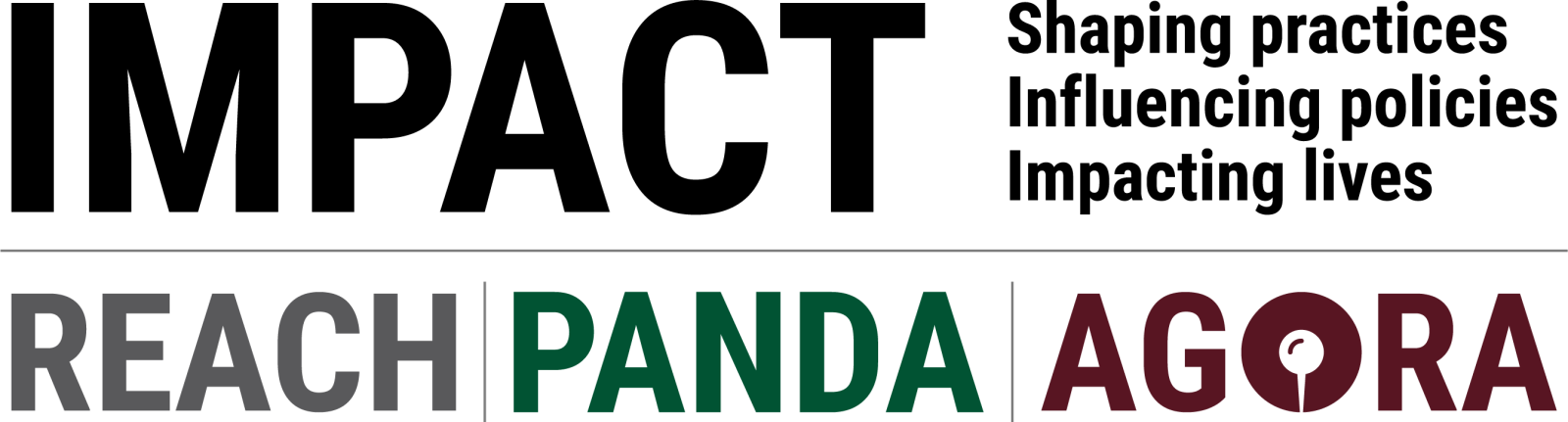 Logo officiel de IMPACT Initiatives