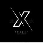 Logo officiel de Entreprise X