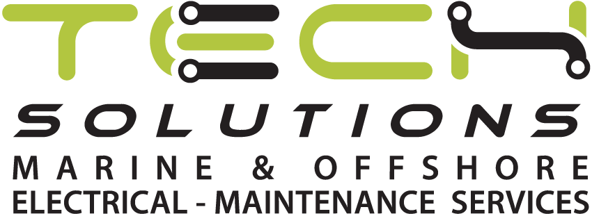 Logo officiel de Tech Solutions France