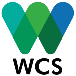 Logo officiel de Wildlife Conservation Society