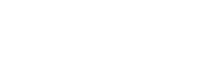 Logo officiel de TechCorp Solutions France